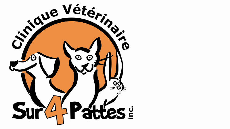 Clinique vétérinaire Sur 4 Pattes: Votre vétérinaire à Montréal, Quebec